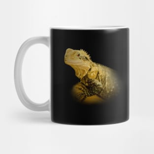 Agama Mug